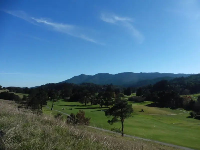 Skirting the Golf Course.webp