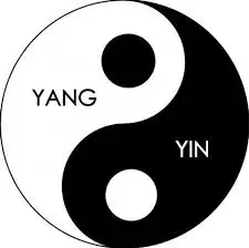 yinyang.webp