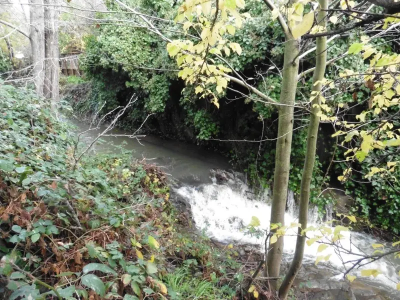 Fairfax Creek.webp