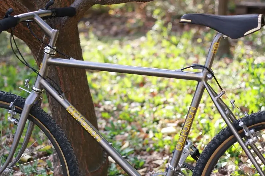 la mia PASSONI Titanium late 1980s Retrobike