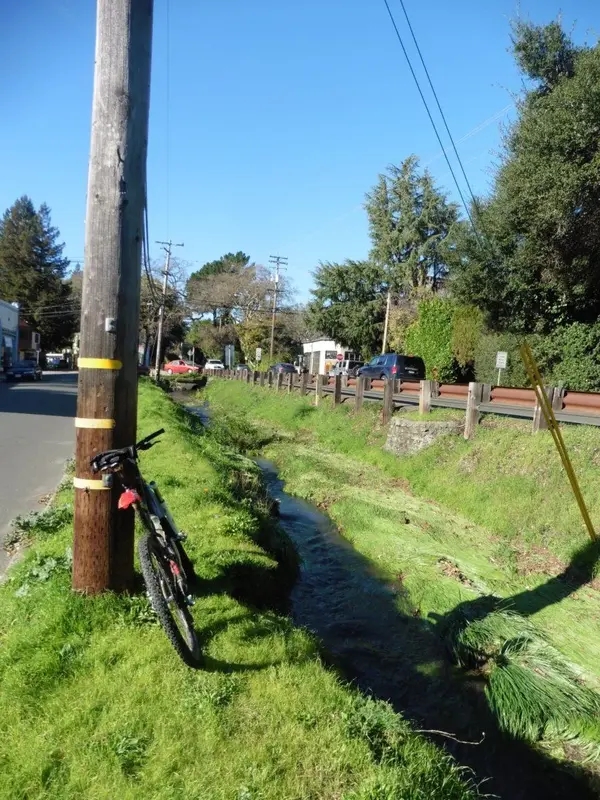 San Anselmo creek.webp