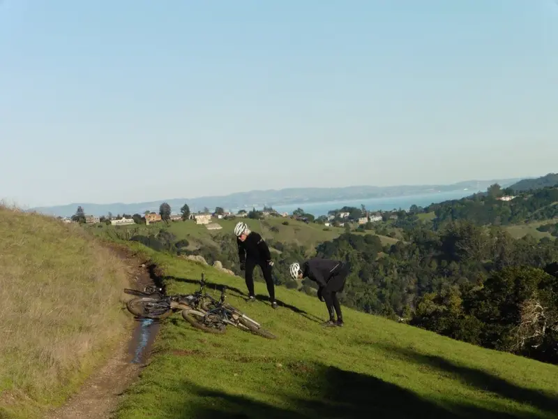 Checking the new growth in the burn area.webp