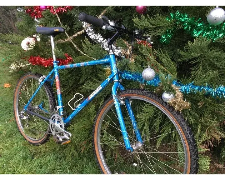 Tree_2.webp