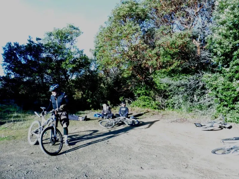 Rest stop.webp