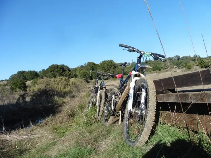 Down low at the Magic Bridge.webp