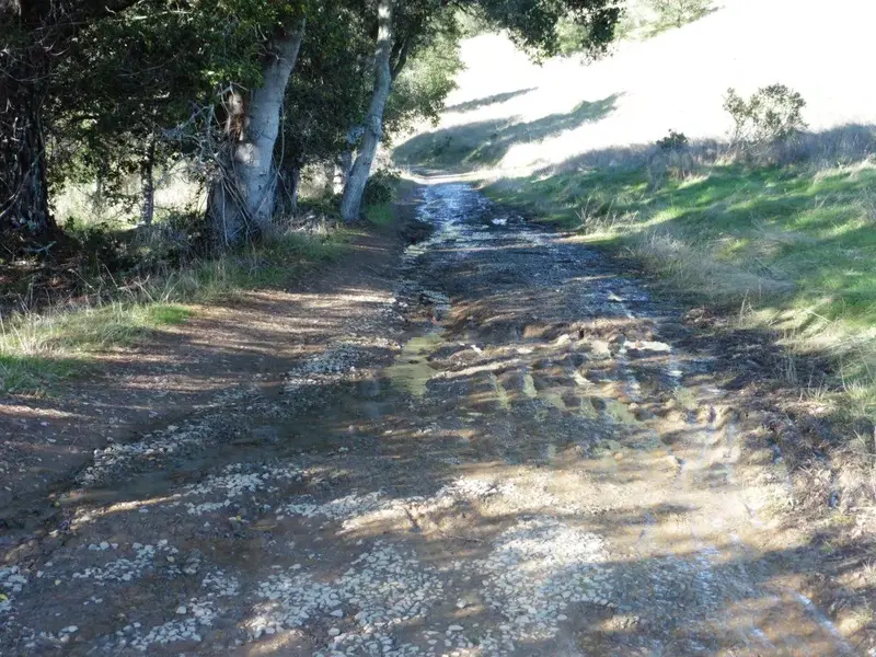 Short muddy stretch.webp