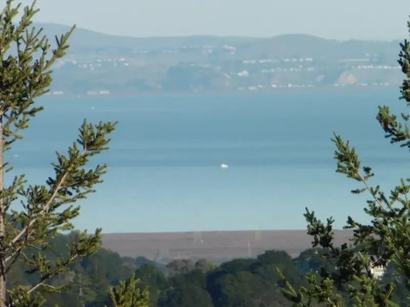 Northbay Zoom shot.webp