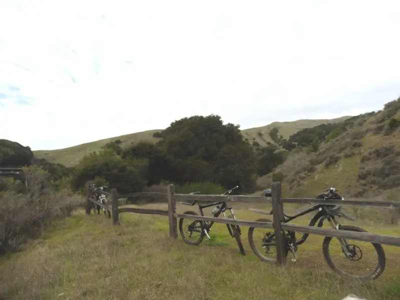 Rest stop.webp