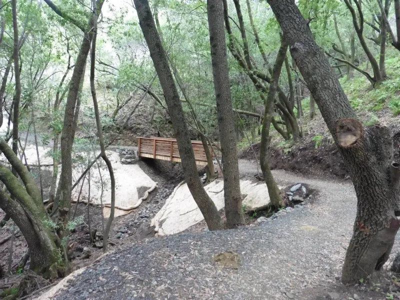 New bridge.webp