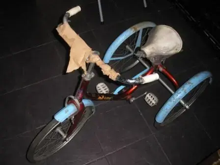 raleigh-lion-bike (3)-.webp