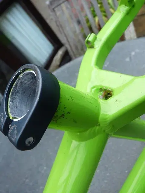 Bears and bike frame 034.webp