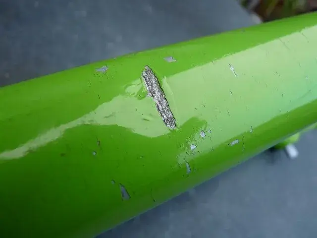 Bears and bike frame 032.webp