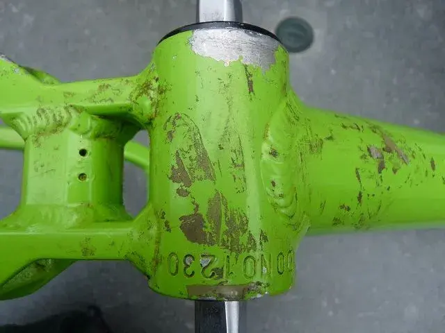 Bears and bike frame 040.webp