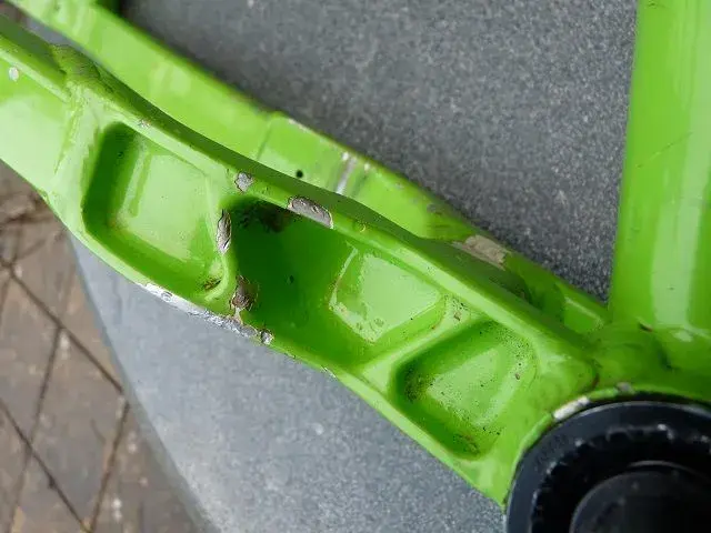 Bears and bike frame 039.webp
