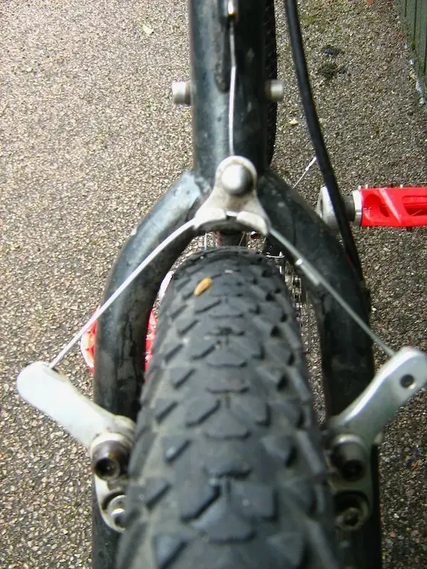 racekings22rearwish.webp