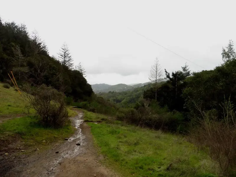 Goldman trail is now a watercourse.webp