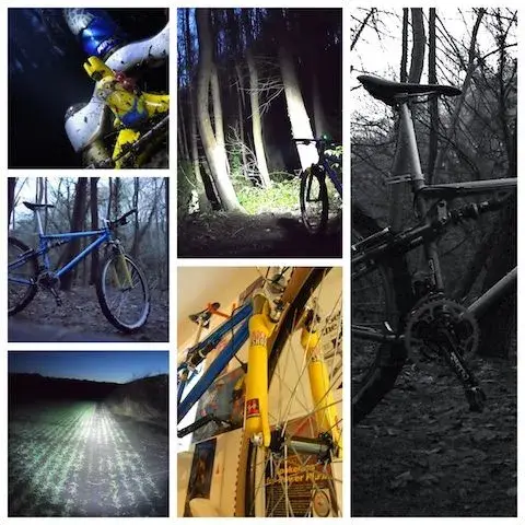 Collage_Fotor.webp
