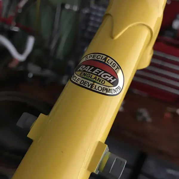SB8868 753R Raleigh Banana New SBDU Oval.webp