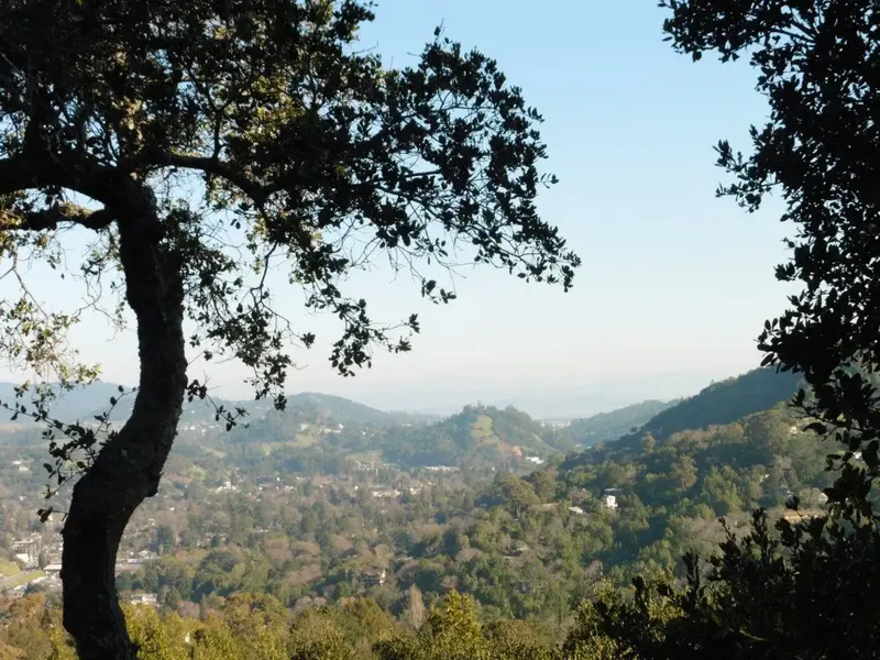 Looking towards the Bay.webp
