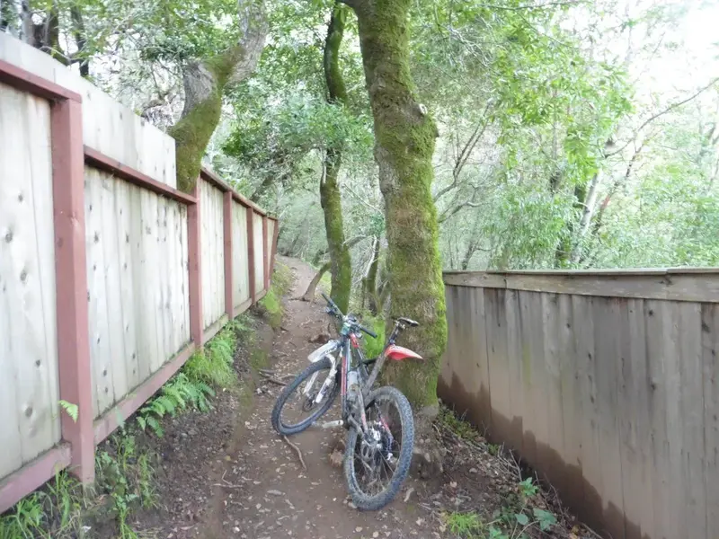 OG Trail.webp