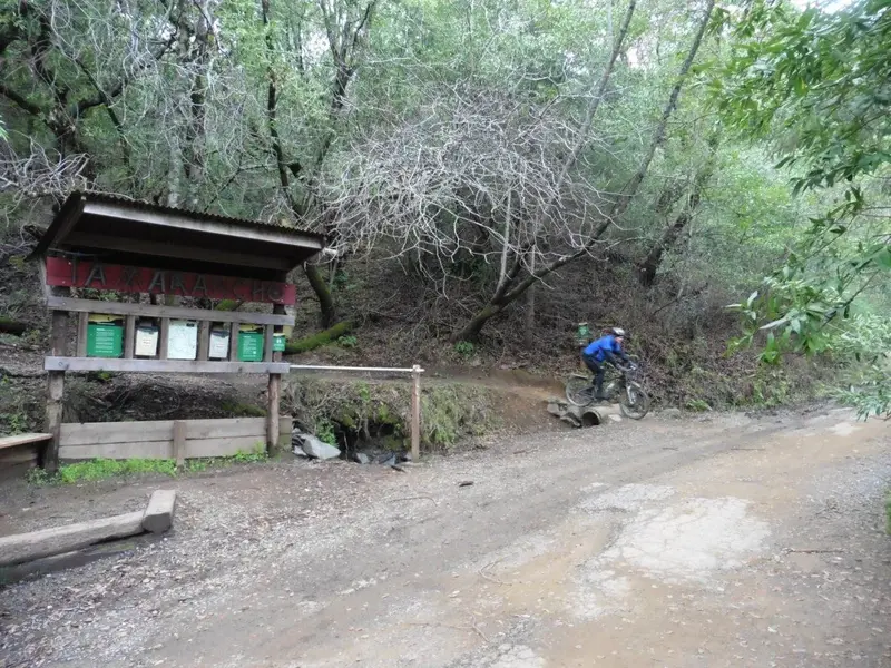 Leaving Tamarancho.webp