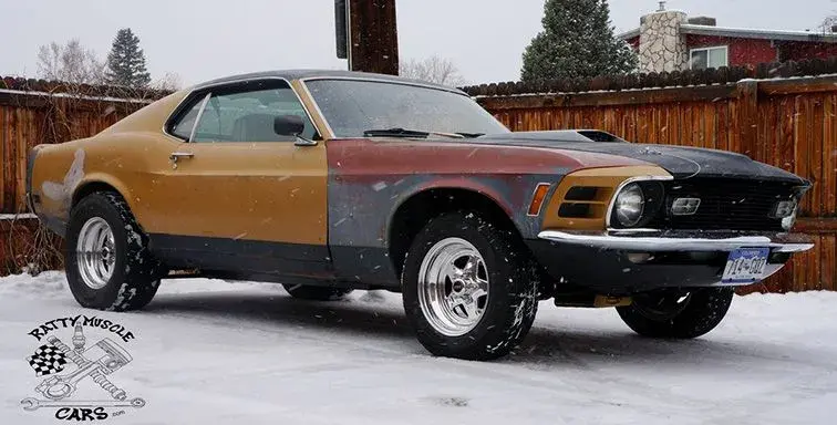 Mustang.webp