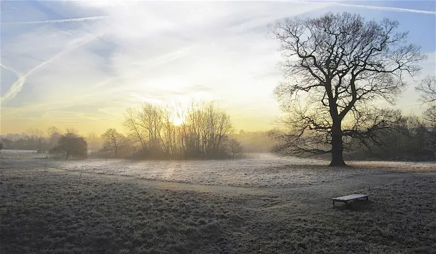 oakwood park 23JAN17.webp