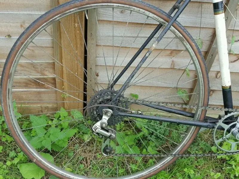 BSA ToB rs2.webp