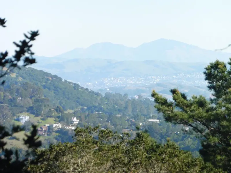 Mt. Diablo 25 miles away.webp
