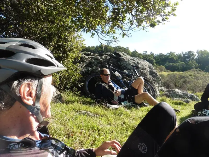 Lounging in the sun.webp