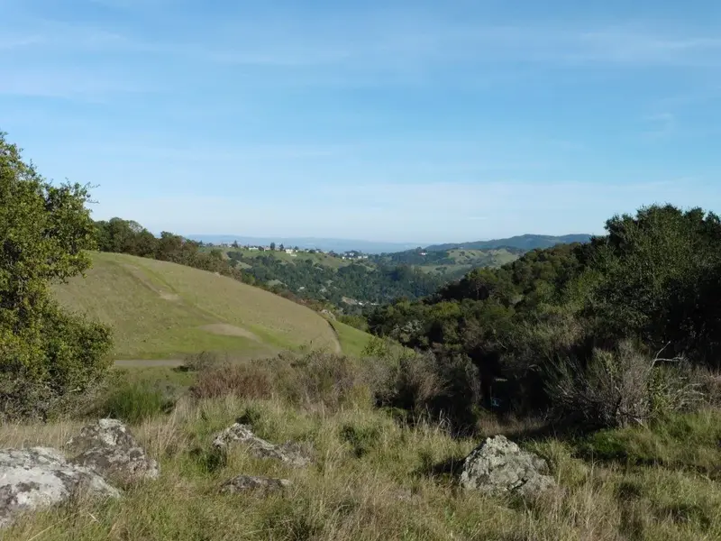 Looking East.webp
