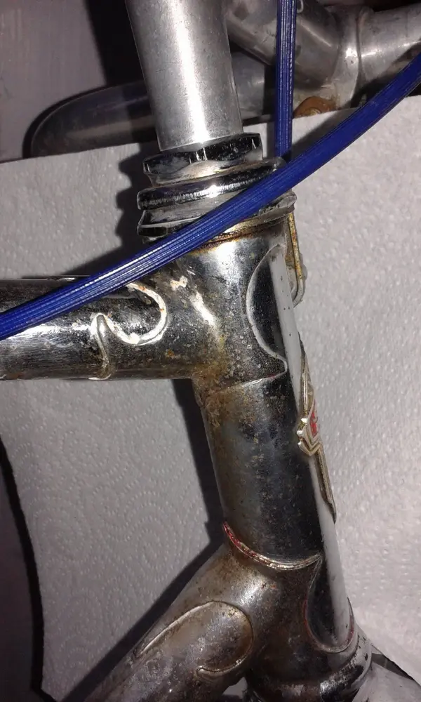Sun Head Tube Lug detail.webp