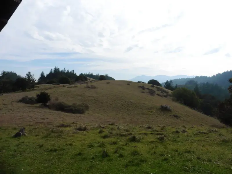 Rest stop-Tam in far background.webp