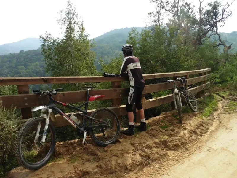 Muddy Bridge.webp