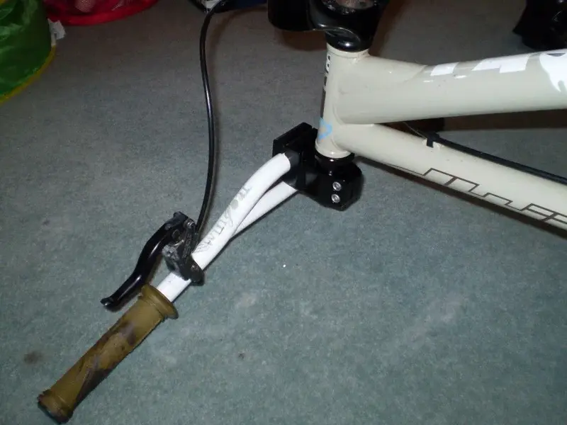 P1010278 (Medium).webp