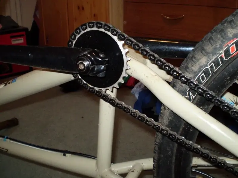 P1010276 (Medium).webp
