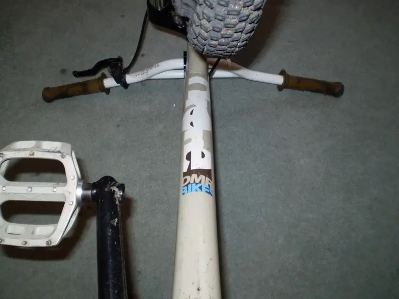 P1010274 (Medium).webp