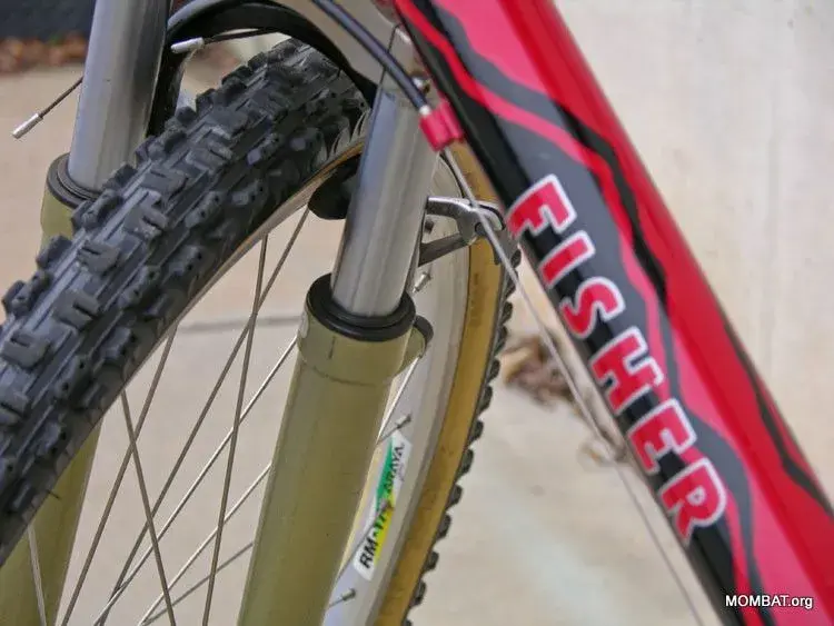 CR7DownTube.webp