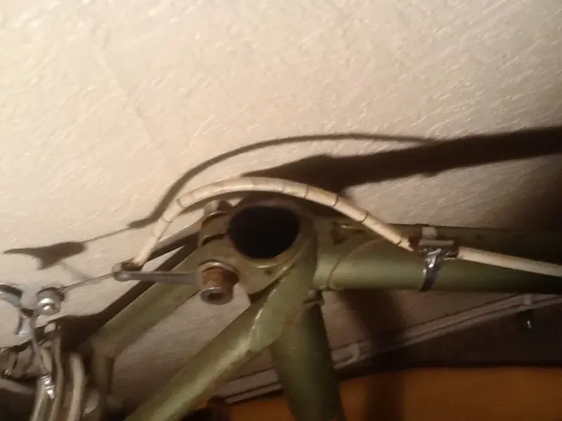 image.webp