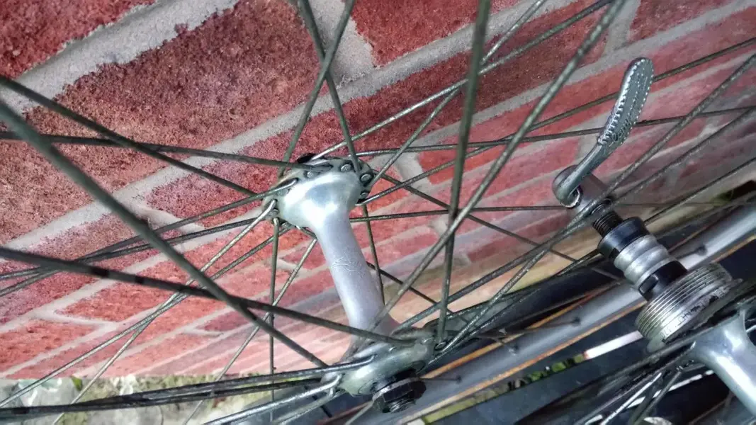 campag2.webp