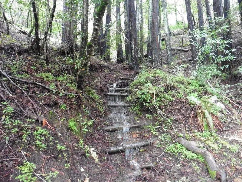 Waterfall stairs.webp
