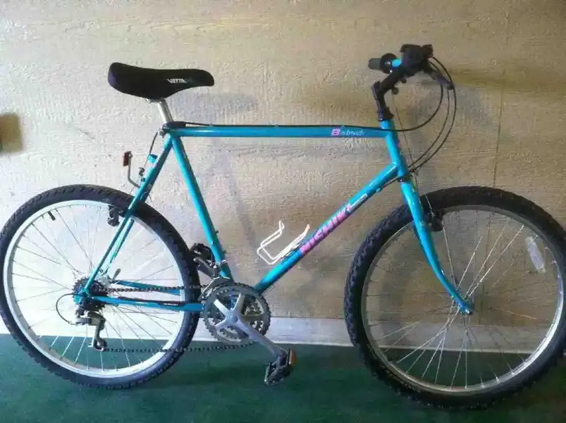 nishiki backroads pink.webp