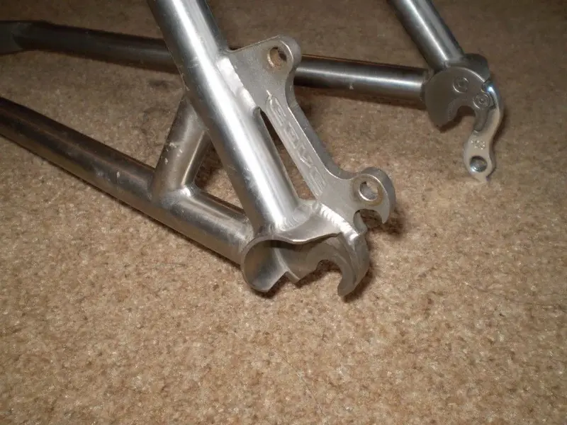 P1010321 (Medium).webp