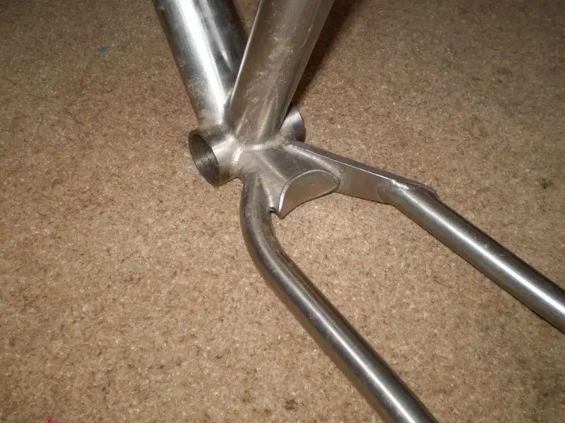 P1010320 (Medium).webp