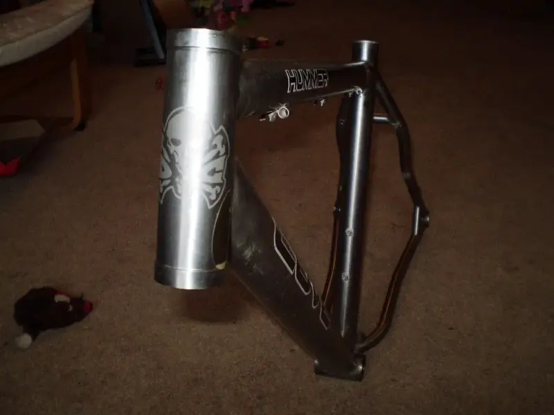P1010318 (Medium).webp