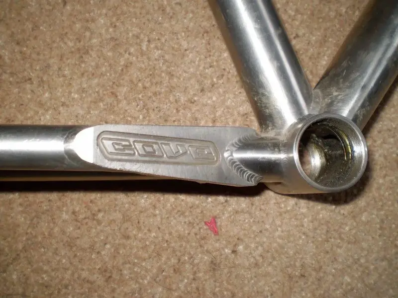 P1010315 (Medium).webp