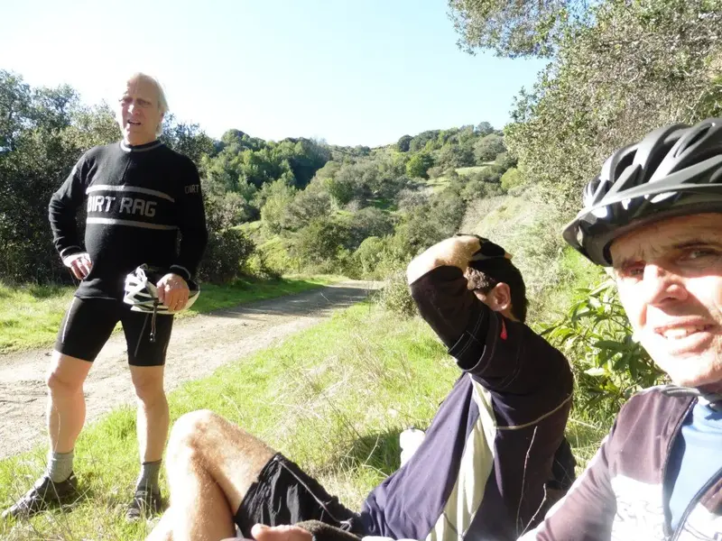 Rest stop in the sun.webp