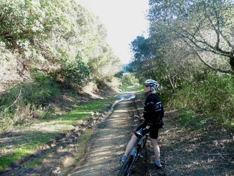 A little muddy.webp