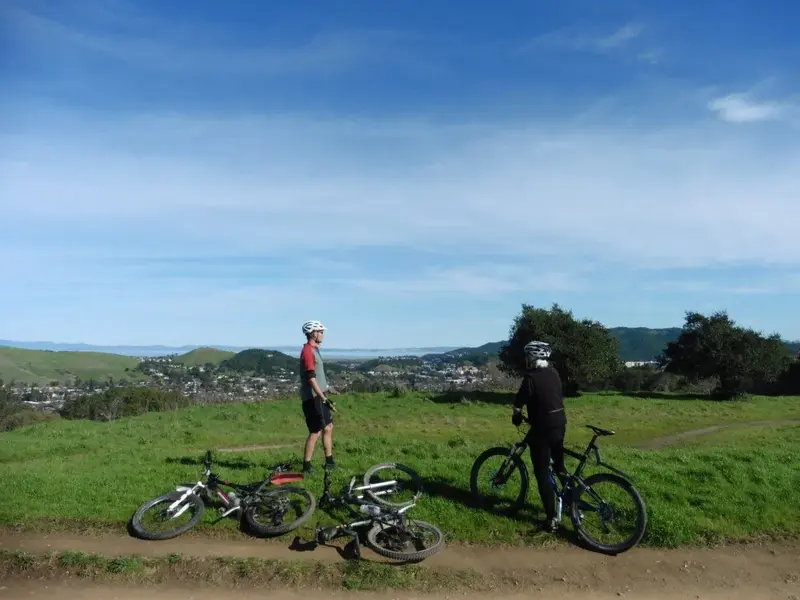 SF Bay in background.webp