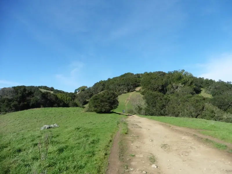 Going up.webp